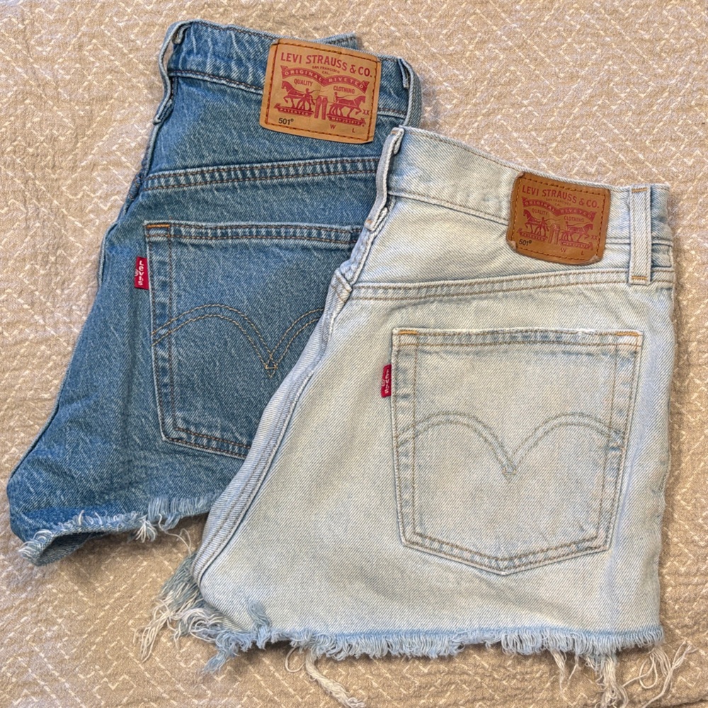Levi's Blue and Light Blue Denim Shorts
